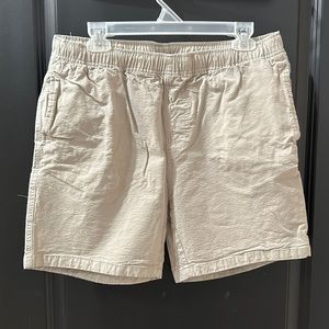 Free Fly Canvas Shorts